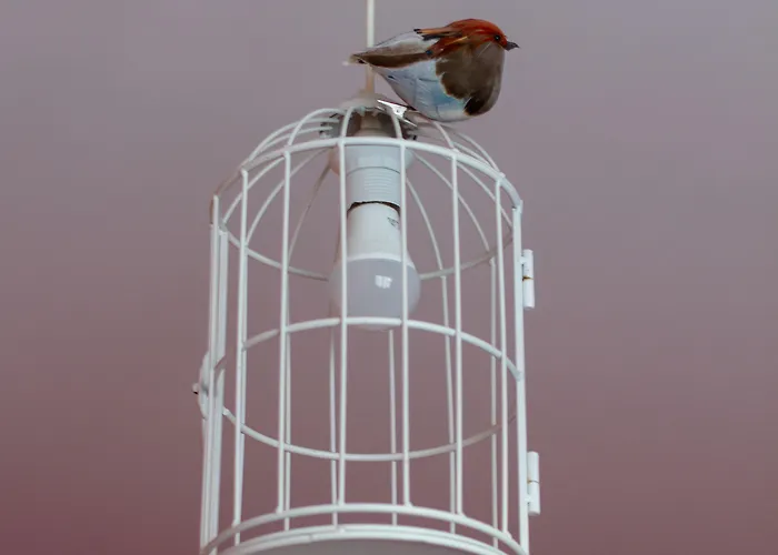 Casa Regina Tenerife 3*